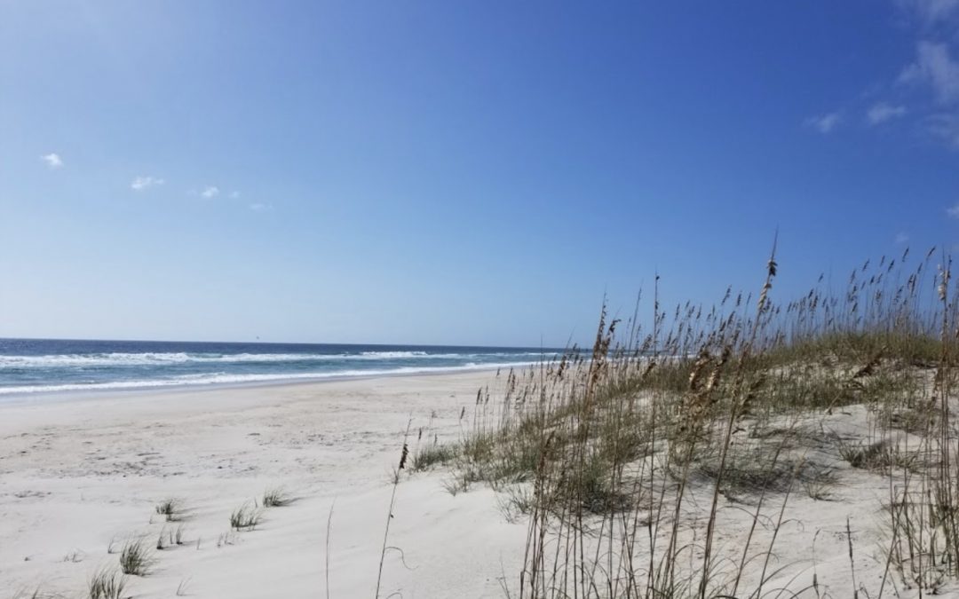 Masonboro Island